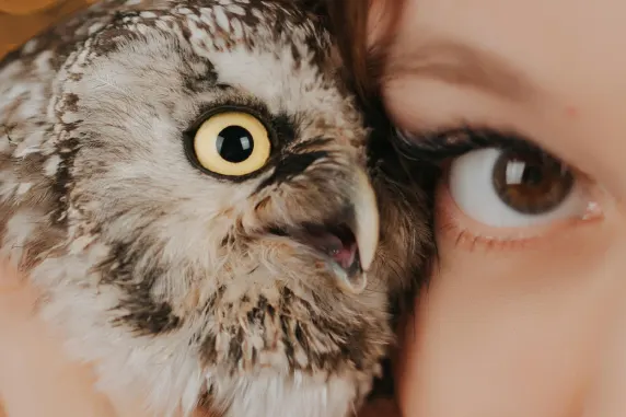 VegasWild Kasino Sokongan